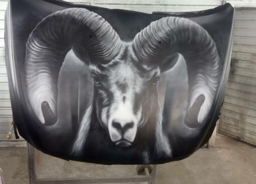 +79264620296 звонок из Нано Сервис