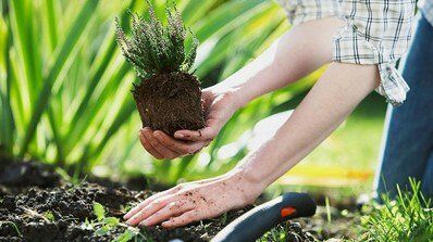 +79265380444 звонок из Зеленое королевство