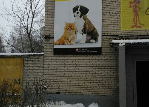 +79265540881 звонок из Пантера