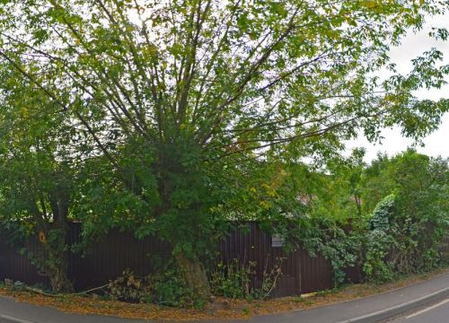 +79265720322 звонок из Арм56