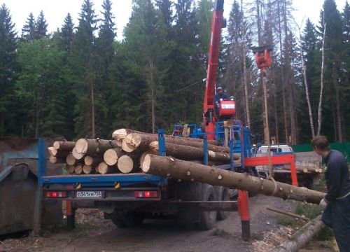 +79265830252 звонок из ФорестВорк