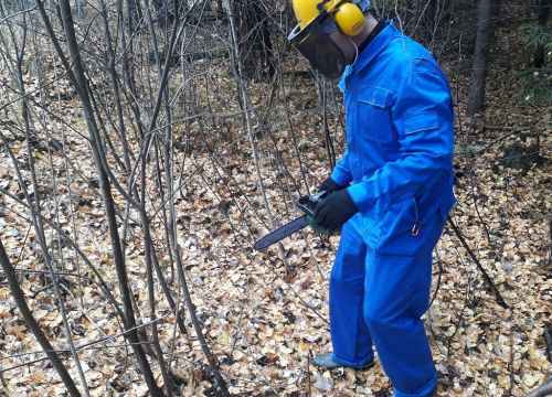 +79265830252 звонок из ФорестВорк