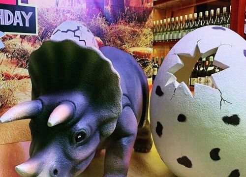 +79267080657 звонок из Пенопласт Москва