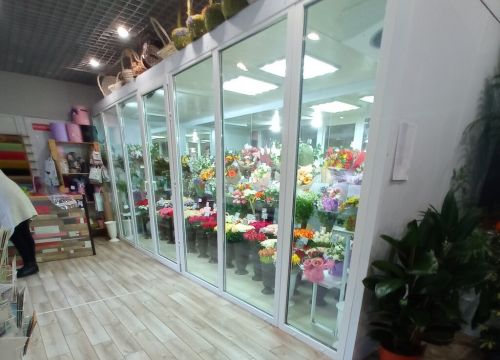 +79267690537 звонок из Леди Роуз