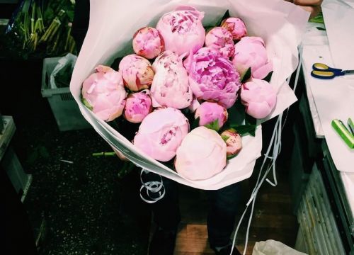 +79267820224 звонок из Panda Flowers