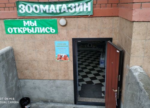 +79267820417 звонок из Зоопарикмахерская