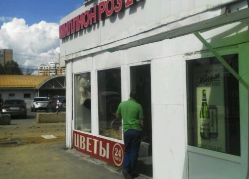 +79267840307 звонок из Миллион свежих роз