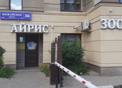 +79267920545 звонок из Айрис