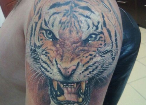 +79268192005 звонок из Татуин