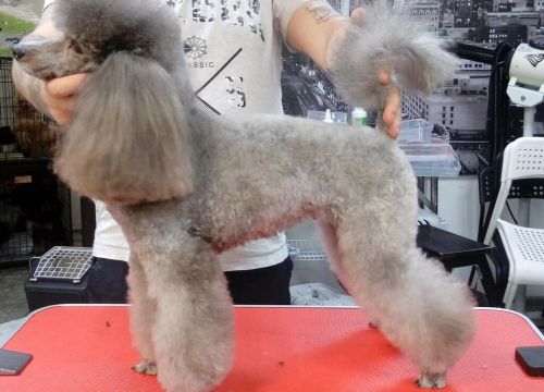 +79268360656 звонок из Кожаный нос