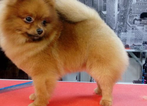 +79268360656 звонок из Кожаный нос