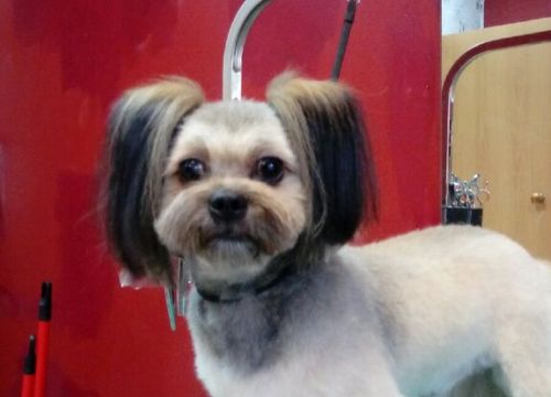 +79268360656 звонок из Кожаный нос