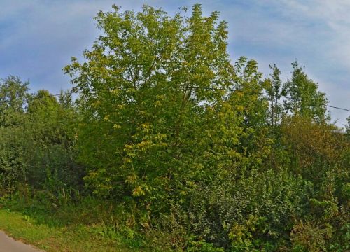 +79269180605 звонок из Полимергарант