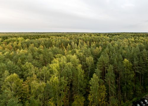 +79269700907 звонок из Жильё посуточно