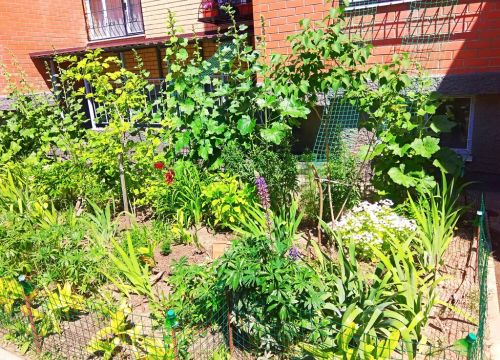 +79269700907 звонок из Жильё посуточно