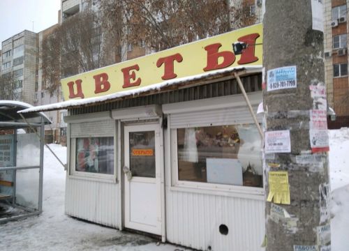 +79272623160 звонок из Цветы