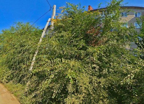 +79272862310 звонок из Фабрика зимней обуви - Унты Гарант