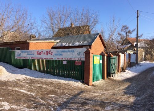 +79273142205 звонок из Кот и пес