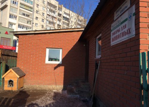 +79273142205 звонок из Кот и пес