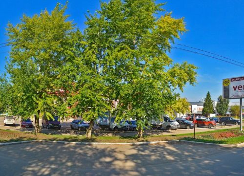 +79273561510 звонок из Шагайка