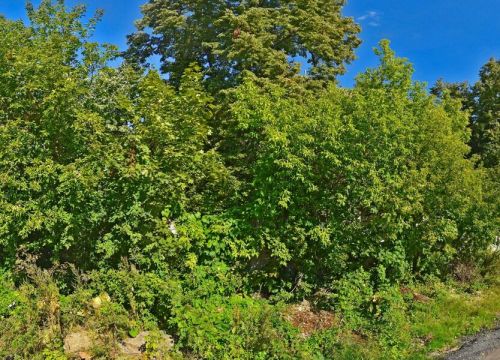 +79273817168 звонок из Robot-promoter