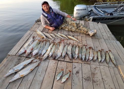 +79275730044 звонок из Золотая Дельта