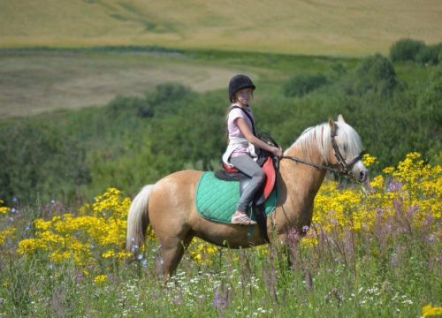 +79276445994 звонок из АНО Спортивно-оздоровительный клуб Импульс