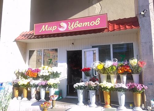 +79281250509 звонок из Мир цветов
