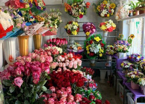 +79281250509 звонок из Мир цветов
