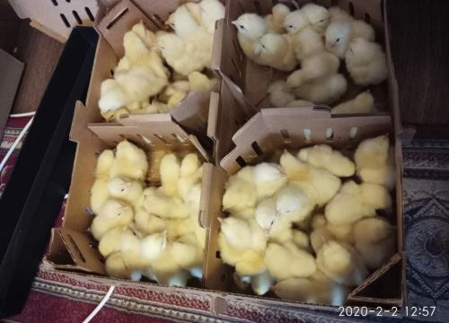 +79281572338 звонок из Инари ГРУП