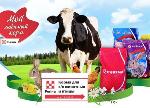 +79282864728 звонок из Наша ферма