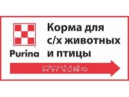 +79282864728 звонок из Наша ферма