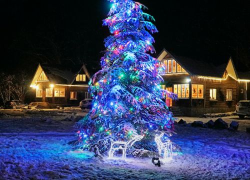 +79282920373 звонок из Звездная Долина