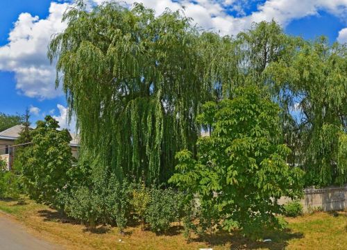 +79283210975 звонок из Арсенал