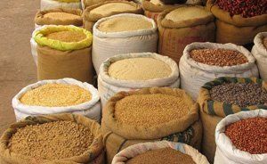 +79283210978 звонок из Японские Семена