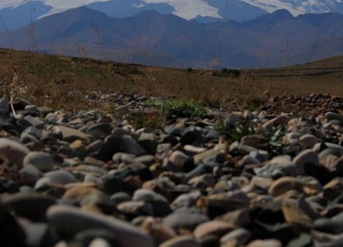 +79283491336 звонок из Edemvgory.ru