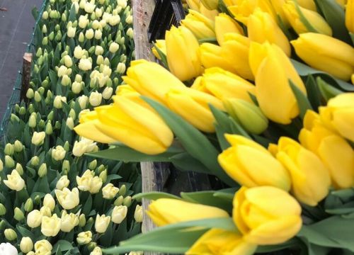 +79286012804 звонок из Талан