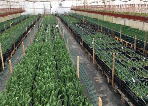 +79286012804 звонок из Талан