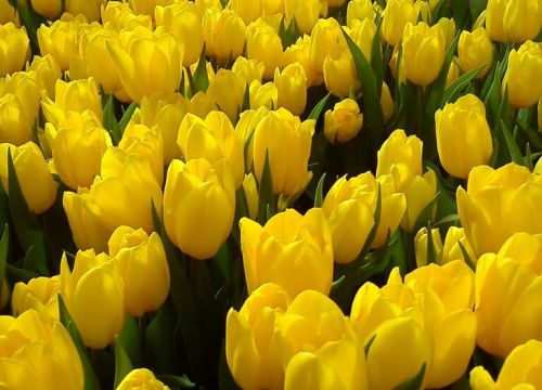 +79286012804 звонок из Талан