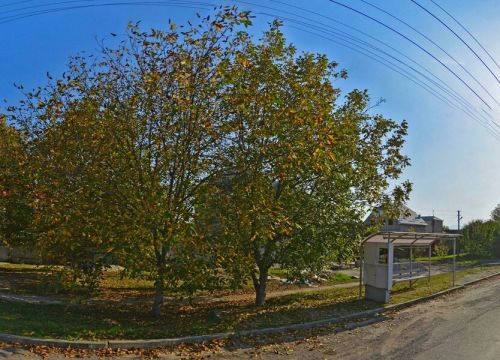 +79287002009 звонок из Пластик +