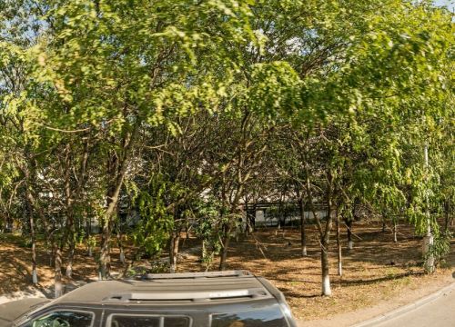 +79289824824 звонок из Spfusion