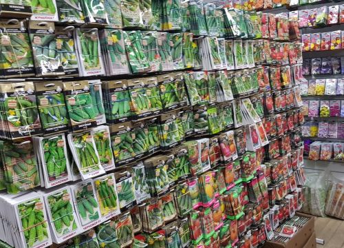 +79289827773 звонок из Росток26