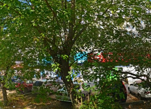 +79290470737 звонок из Феникс 52