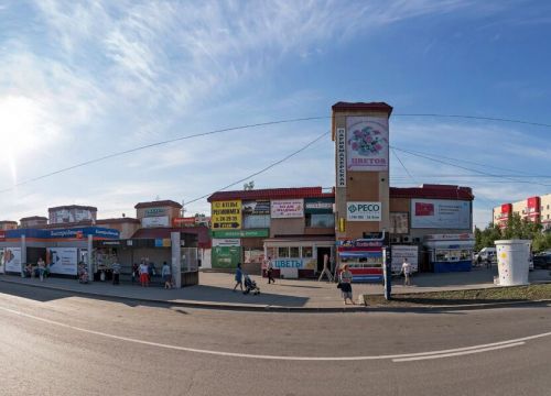 +79292492500 звонок из ОСАГО 186