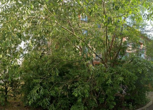 +79292734488 звонок из Уралкрандеталь