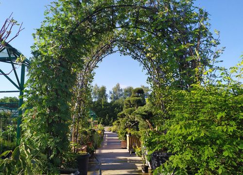 +79295000015 звонок из Ромашкино Парк