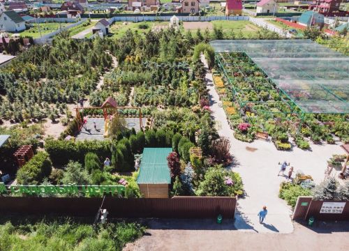 +79295000015 звонок из Ромашкино Парк