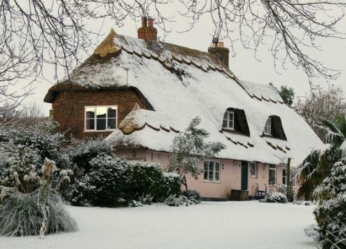 +79295220045 звонок из Свой Мастер