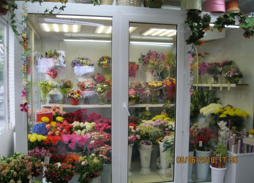 +79295801314 звонок из Флорис