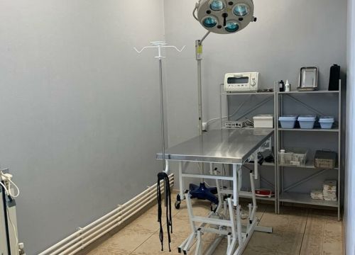 +79296061111 звонок из ПриВет